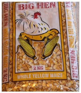 popcorn-seeds